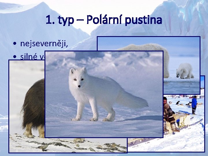 1. typ – Polární pustina • nejseverněji, • silné větry (blizzardy), • obyvatelstvo –