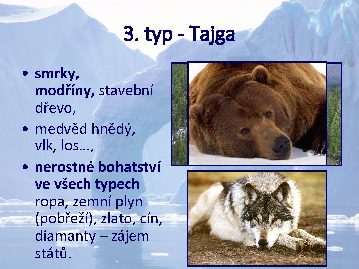 3. typ - Tajga • smrky, modříny, stavební dřevo, • medvěd hnědý, vlk, los…,