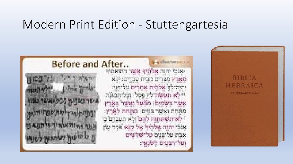 Modern Print Edition - Stuttengartesia 