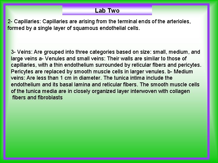 Lab Two 2 - Capillaries: Capillaries are arising from the terminal ends of the