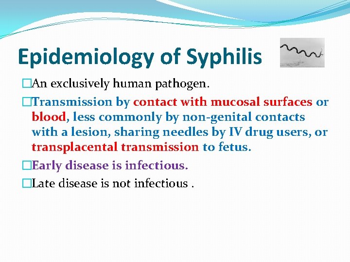 Epidemiology of Syphilis �An exclusively human pathogen. �Transmission by contact with mucosal surfaces or
