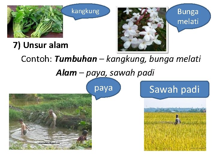 kangkung Bunga melati 7) Unsur alam Contoh: Tumbuhan – kangkung, bunga melati Alam – kangkung Bunga melati 7) Unsur alam Contoh: Tumbuhan – kangkung, bunga melati Alam –