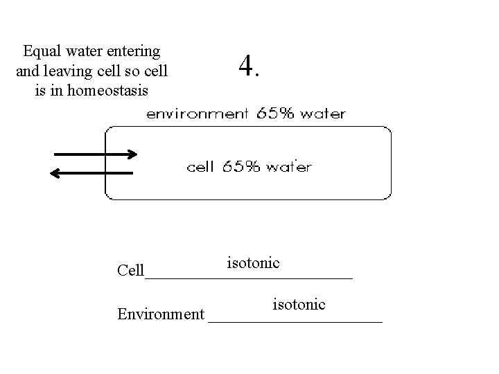Osmosis Problem Practice SB 1 d Water leaves