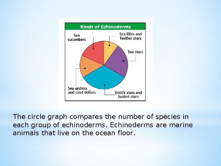The circle graph compares the number of species in each group of echinoderms. Echinoderms