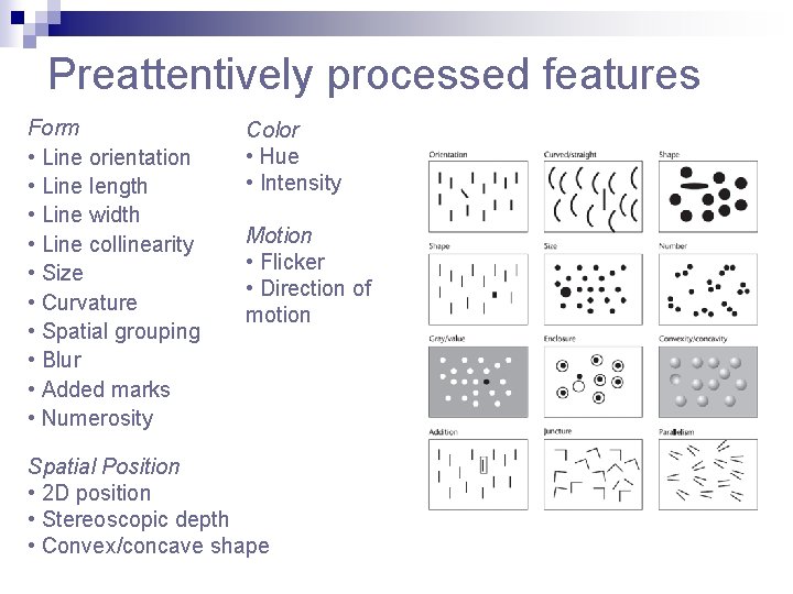 Preattentively processed features Form • Line orientation • Line length • Line width •