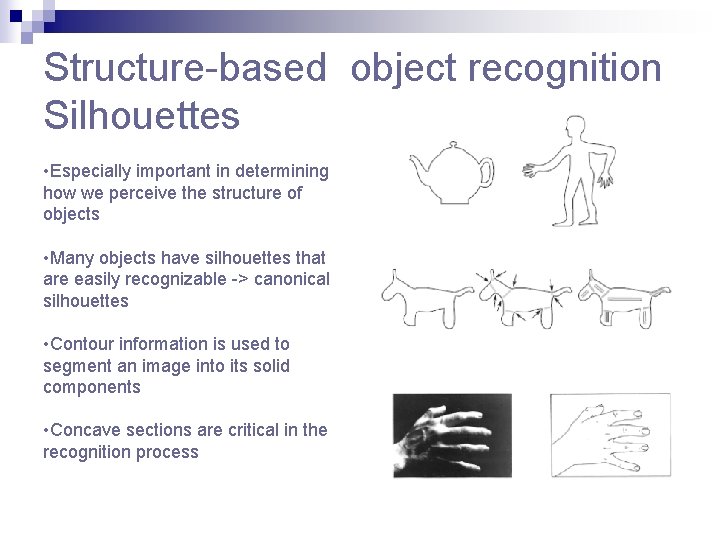 Structure-based object recognition Silhouettes • Especially important in determining how we perceive the structure