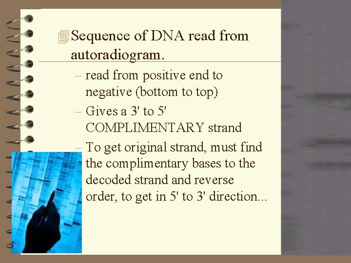 4 Sequence of DNA read from autoradiogram. – read from positive end to negative