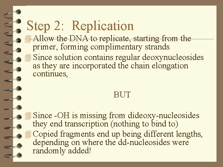 Step 2: Replication 4 Allow the DNA to replicate, starting from the primer, forming