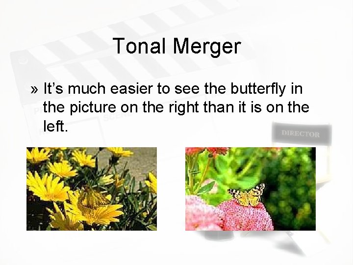Tonal Merger » It’s much easier to see the butterfly in the picture on