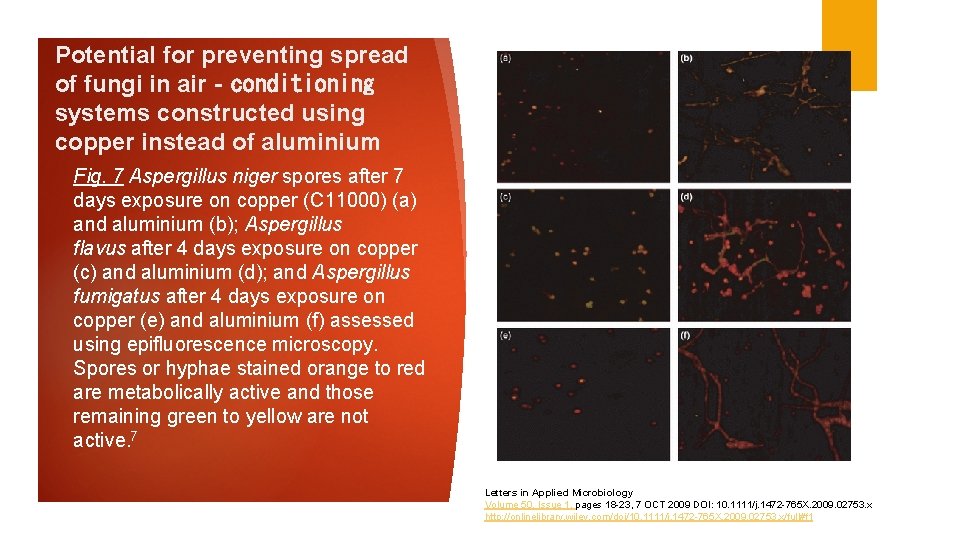 Potential for preventing spread of fungi in air‐conditioning systems constructed using copper instead of