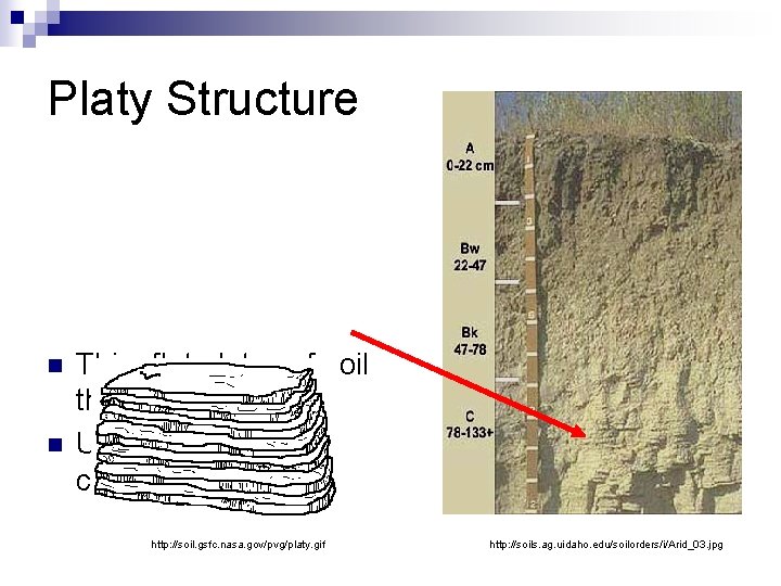 Platy Structure n n Thin, flat plates of soil that lie horizontally. Usually found