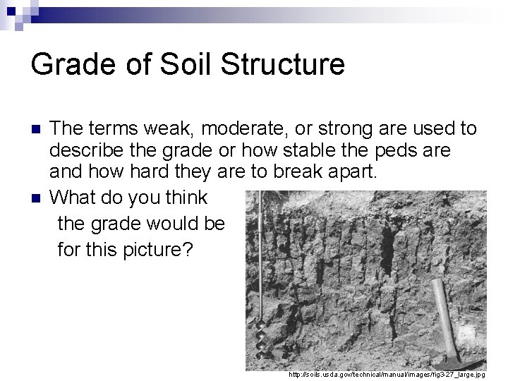Grade of Soil Structure n n The terms weak, moderate, or strong are used