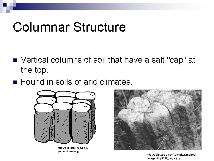 Columnar Structure n n Vertical columns of soil that have a salt "cap" at