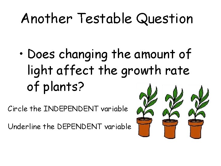 Another Testable Question • Does changing the amount of light affect the growth rate