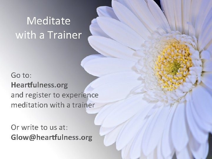 Meditate with a Trainer Go to: Heartfulness. org and register to experience meditation with