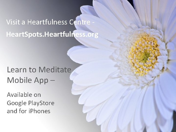 Visit a Heartfulness Centre Heart. Spots. Heartfulness. org Learn to Meditate Mobile App –