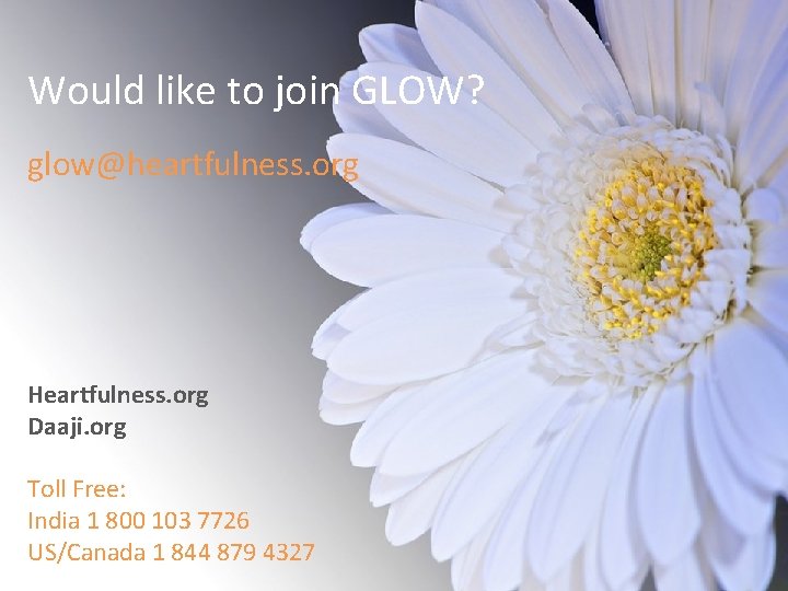 Would like to join GLOW? glow@heartfulness. org Heartfulness. org Daaji. org Toll Free: India