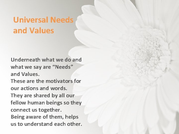 Universal Needs and Values Underneath what we do and what we say are “Needs”