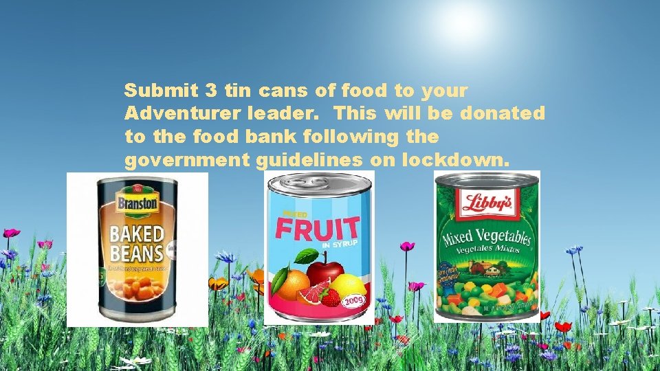Submit 3 tin cans of food to your Adventurer leader. This will be donated