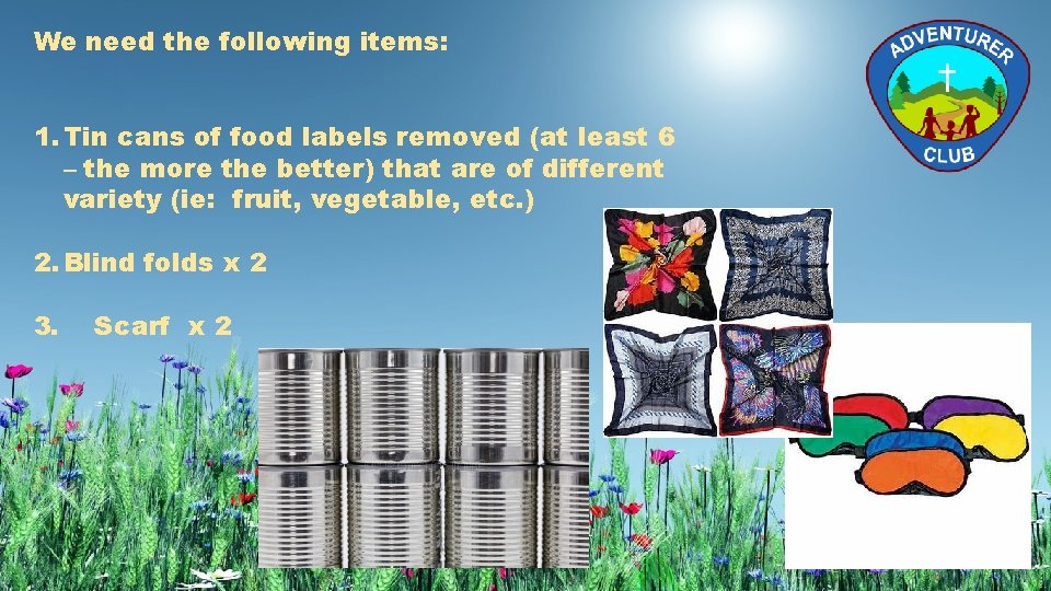We need the following items: 1. Tin cans of food labels removed (at least