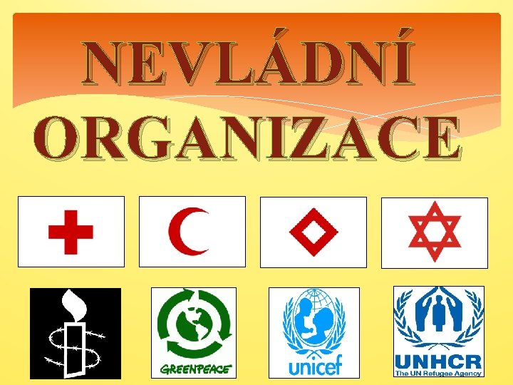 NEVLÁDNÍ ORGANIZACE 