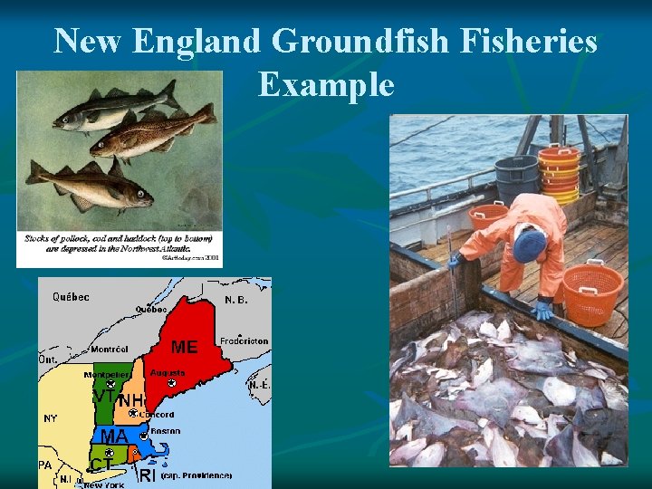 New England Groundfish Fisheries Example 