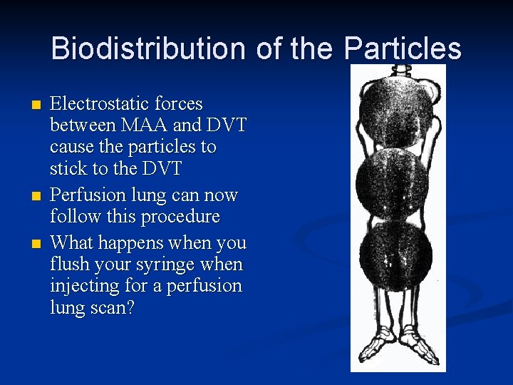Biodistribution of the Particles n n n Electrostatic forces between MAA and DVT cause