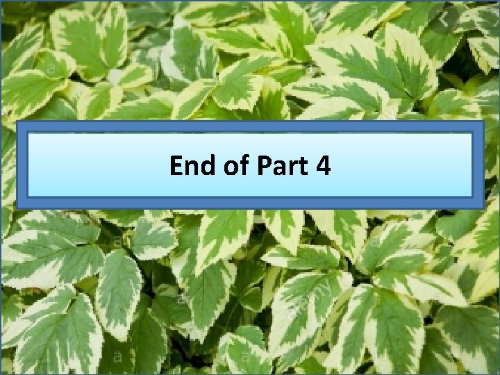 End of Part 4 