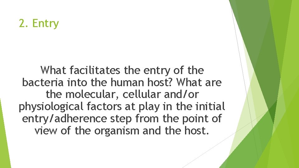 2. Entry What facilitates the entry of the bacteria into the human host? What