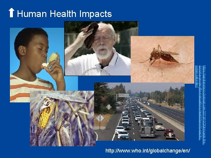 Human Health Impacts https: //sanfrancisco. cbslocal. com/2019/10/26/kincade-firesonoma-geyserville-evacuations-healdsburg-to-pacificocean-saturday/ http: //www. who. int/globalchange/en/ 