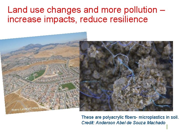 Land use changes and more pollution – increase impacts, reduce resilience rs/C Sherry La.