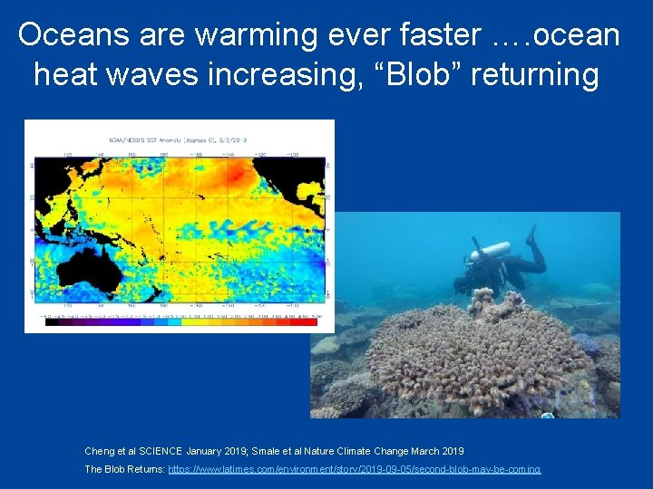 Oceans are warming ever faster …. ocean heat waves increasing, “Blob” returning Cheng et