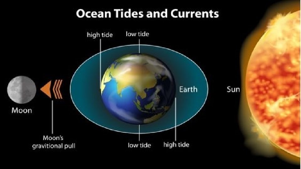 Modeling Tides with Rubber Bands • Place a rubber band on the desk in