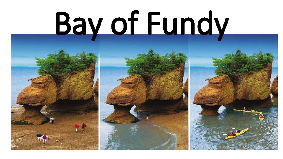 Bay of Fundy 