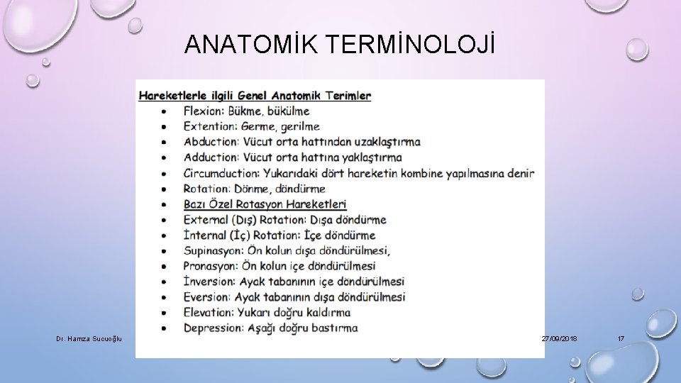 ANATOMİK TERMİNOLOJİ Dr. Hamza Sucuoğlu 27/09/2018 17 