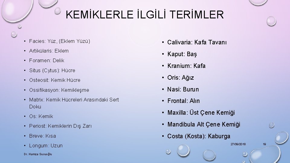 KEMİKLERLE İLGİLİ TERİMLER • Facies: Yüz, (Eklem Yüzü) • Artikülaris: Eklem • Foramen: Delik