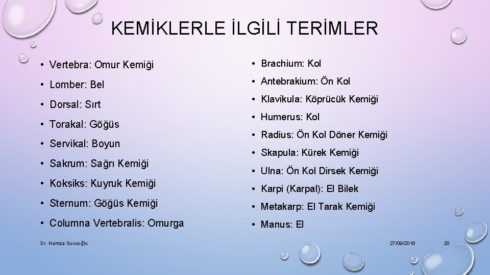 KEMİKLERLE İLGİLİ TERİMLER • Vertebra: Omur Kemiği • Brachium: Kol • Lomber: Bel •