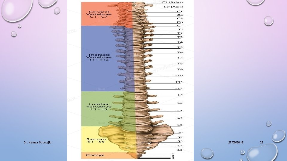 Dr. Hamza Sucuoğlu 27/09/2018 23 