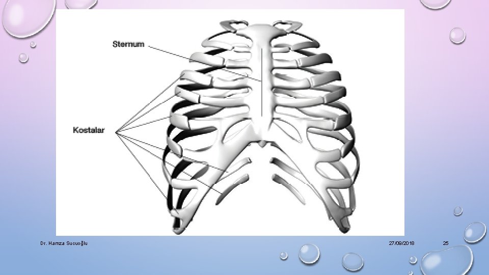 Dr. Hamza Sucuoğlu 27/09/2018 25 