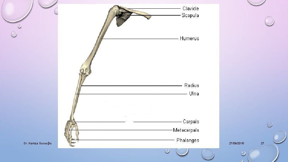Dr. Hamza Sucuoğlu 27/09/2018 27 
