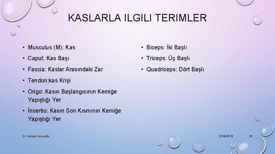 KASLARLA ILGILI TERIMLER • Musculus (M): Kas • Biceps: İki Başlı • Caput: Kas