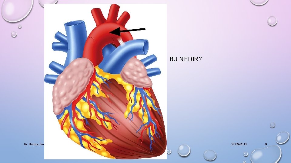 BU NEDIR? Dr. Hamza Sucuoğlu 27/09/2018 9 