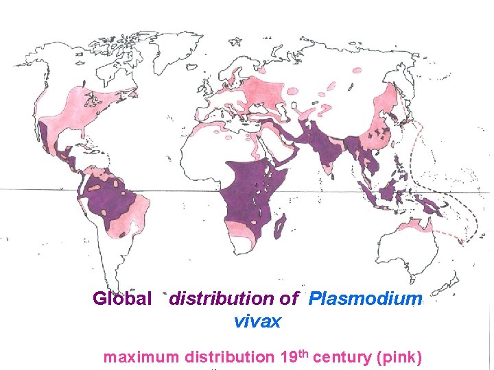 Global distribution of Plasmodium neglected burden of P. vivax malaria. American Journal of Mendis