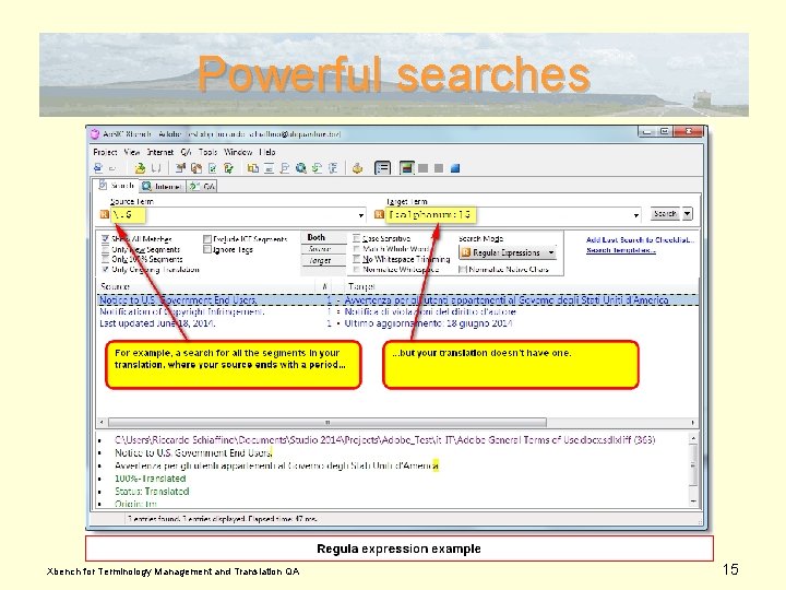 Powerful searches Xbench for Terminology Management and Translation QA 15 