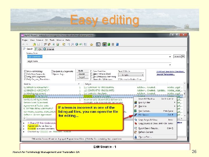 Easy editing Xbench for Terminology Management and Translation QA 26 