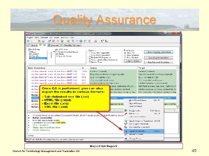 Quality Assurance Xbench for Terminology Management and Translation QA 45 