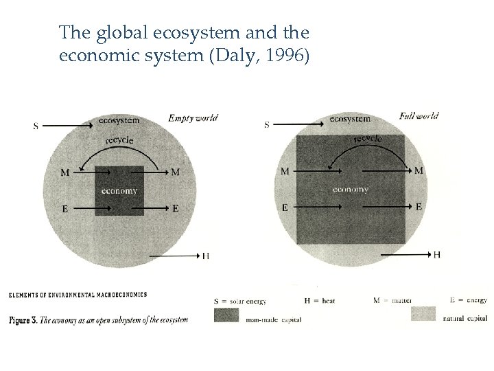 The global ecosystem and the economic system (Daly, 1996) 