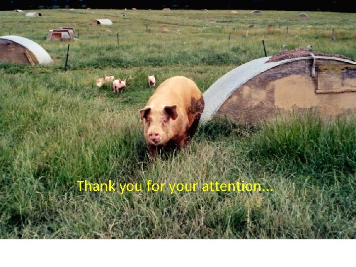 Thank you for your attention. . . 