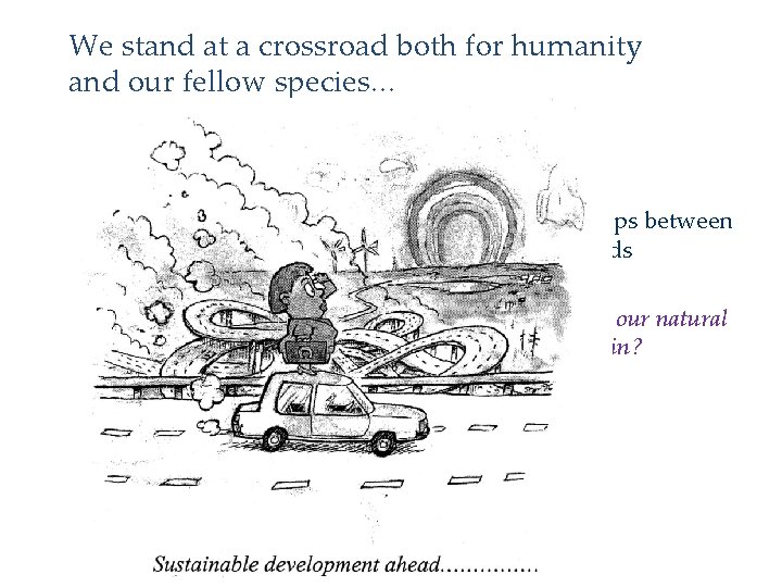 We stand at a crossroad both for humanity and our fellow species… • We