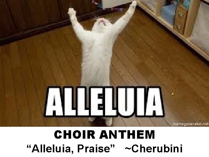 CHOIR ANTHEM “Alleluia, Praise” ~Cherubini 